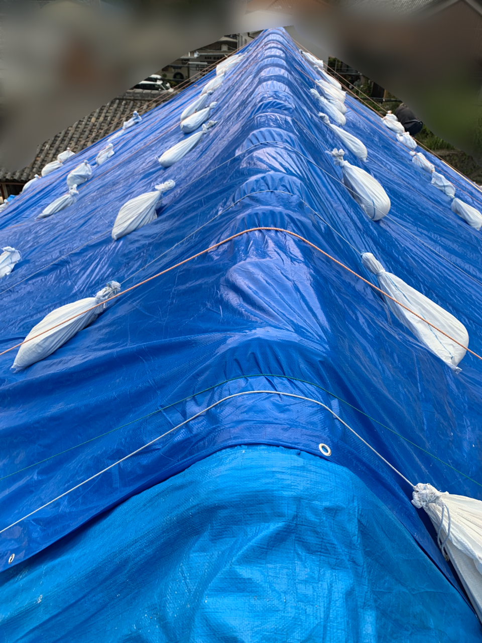 和歌山県海南市にて台風の爪痕屋根・１００平米ブルーシートの補修のお手伝いをしてまいりました